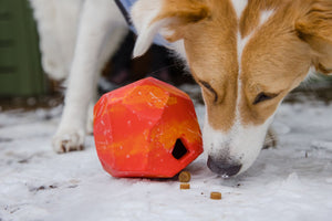 Ruffwear Gnawt-a-Rock