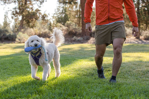 Ruffwear Gourdo