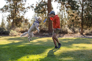 Ruffwear Gourdo