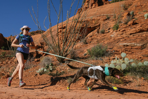 Ruffwear Grip Trex Boots (Pairs)