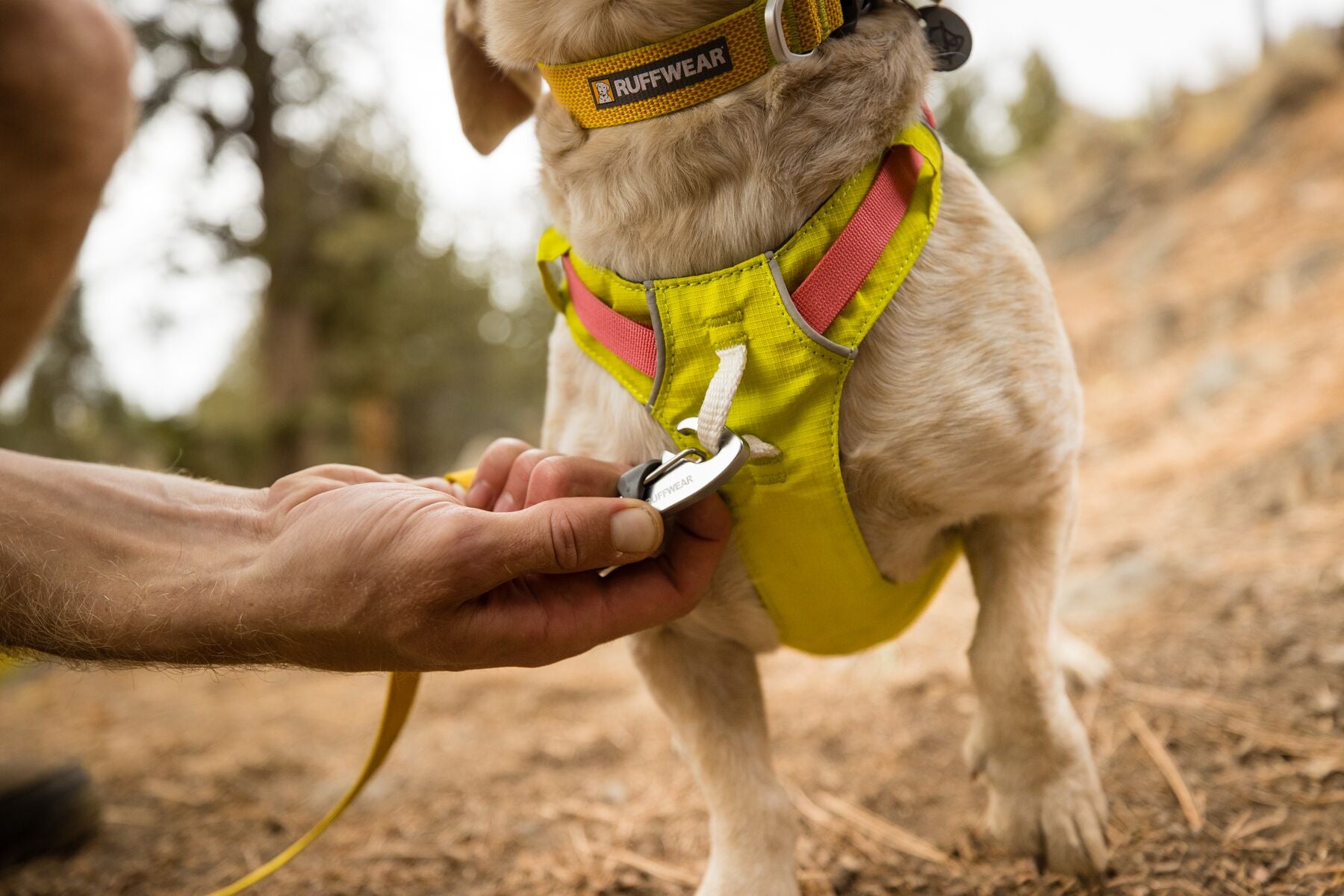 Ruffwear Hi & Light Harness