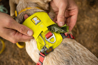 Ruffwear Hi & Light Harness