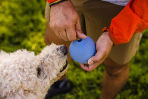 Ruffwear Huckama