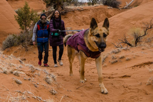 Ruffwear Overcoat Fuse Jacket