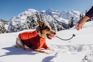 Ruffwear Powder Hound Jacket