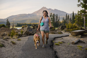 Ruffwear Stash Bag Plus