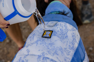 Ruffwear Swamp Cooler Cooling Vest - Final Sale*