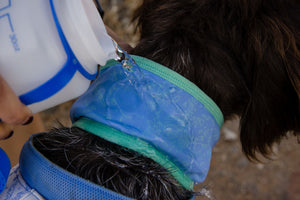 Ruffwear Swamp Cooler Neck Gaiter - Final Sale*