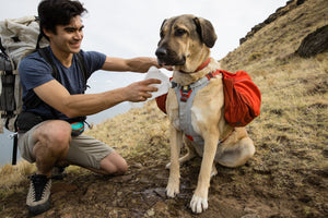 Ruffwear Swamp Cooler Core: Harness and Pack Add-On