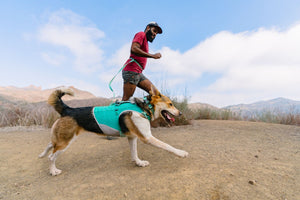 Ruffwear Swamp Cooler Zip Vest - Final Sale*