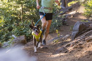 Ruffwear Trail Runner Belt