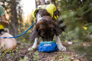 Ruffwear Trail Runner Bowl