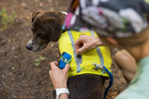 Ruffwear Trail Runner Bowl