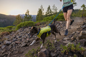 Ruffwear Trail Runner Running Vest with Water Flasks