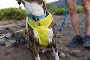 Ruffwear Trail Runner Running Vest with Water Flasks