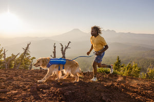 Ruffwear Trail Runner Running Vest with Water Flasks