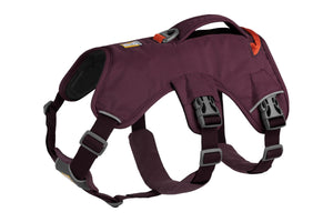 Ruffwear Web Master Harness - Final Sale*
