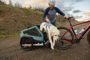 Ruffwear Web Master Harness - Final Sale*