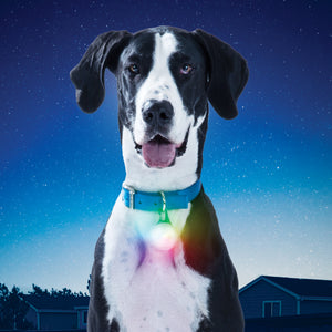 Nite Ize SpotLit XL Rechargeable Carabiner Light
