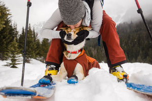 Ruffwear Confluence Waterproof Collar