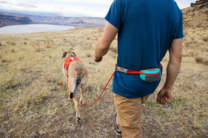 Ruffwear Hitch Hiker Leash