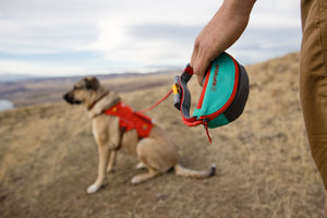 Ruffwear Hitch Hiker Leash