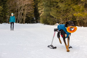 Ruffwear Quinzee Jacket