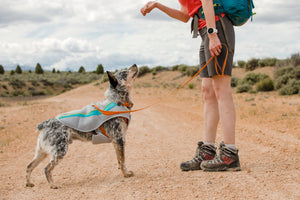 Ruffwear Front Range Leash