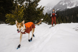 Ruffwear Vert Jacket