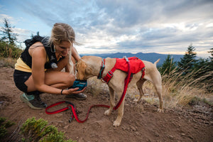 Ruffwear Flat Out Collar