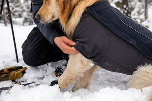 Ruffwear Cloud Chaser Jacket