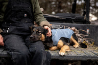 Ruffwear Overcoat Jacket - Final Sale*