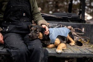 Ruffwear Overcoat Jacket