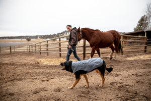 Ruffwear Overcoat Jacket