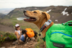 Ruffwear Top Rope Collar