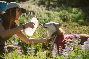 Ruffwear 1L Collapsible Water Bladder