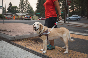 Ruffwear Audible Beacon Safety Light