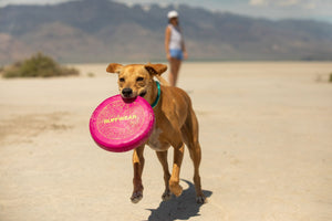 Ruffwear Camp Flyer Flying Disc