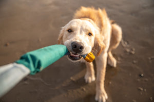 Ruffwear Pacific Loop Toy