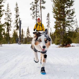 Ruffwear Polar Trex Boots (1 pair = 2 boots )