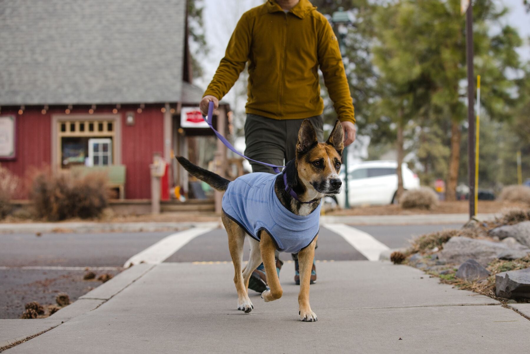 Ruffwear Hemp Hound Sweater