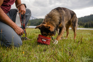 Ruffwear 0.6L Collapsible Water Bladder