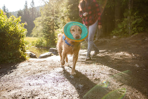 Ruffwear Hydro Plane