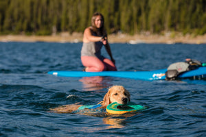 Ruffwear Hydro Plane