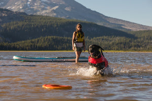 Ruffwear Hydro Plane