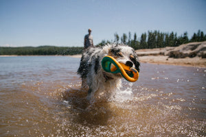 Ruffwear Hydro Plane