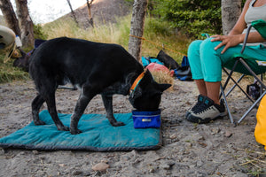 Ruffwear Quencher Bowl