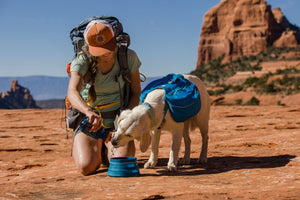 Ruffwear Approach Pack