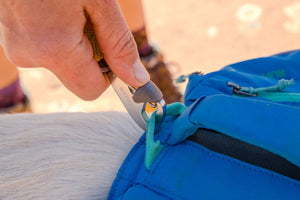 Ruffwear Approach Pack