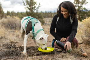 Ruffwear Camp Flyer Flying Disc